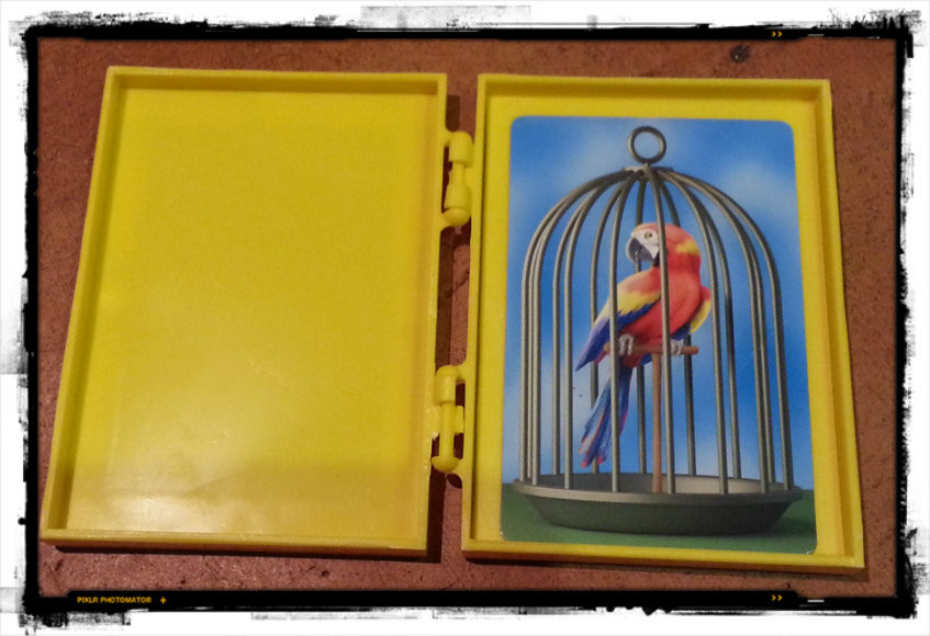 The Gee Whizz parrot. It is GENUINELY MAGIC.