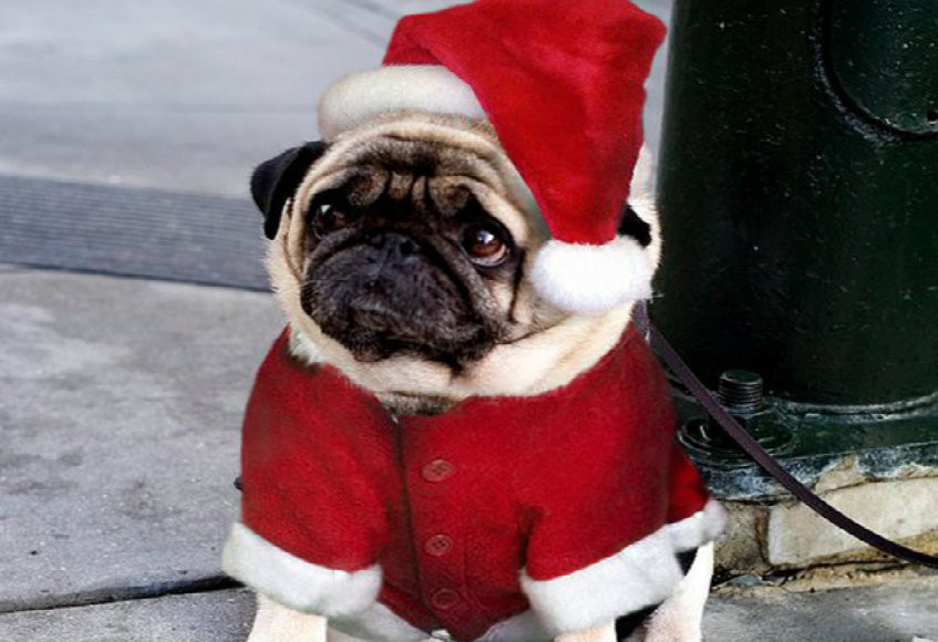 BAH HUMBUG